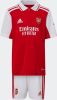 Adidas Arsenal 22/23 Home Mini Kit Voorschools T Shirts online kopen