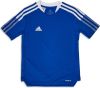 Adidas Tiro21 Jersey basisschool T Shirts Blue 100% Polyester online kopen