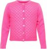 Le Big ! Meisjes Vest Maat 104 Roze Acryl online kopen