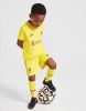 Nike Liverpool FC 2021/22 Derde Tenue Kinderen Chrome Yellow/Rush Red Kind online kopen