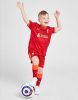 Nike Liverpool FC 2021/22 Thuis Voetbaltenue Kinderen Gym Red/Bright Crimson/Fossil Kind online kopen