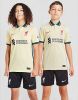 Nike Liverpool FC 2021/22 Uitshirt Junior Pale Ivory/Fossil/Bright Crimson Kind online kopen