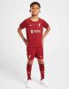 Nike Liverpool FC 2022/23 Thuis Voetbaltenue voor kleuters Tough Red/White Kind online kopen