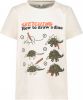 Name it ! Jongens Shirt Korte Mouw -- Off White Katoen/elasthan online kopen