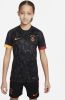 Nike Kids Galatasaray 2022/23 Uit Nike Dri FIT voetbaltop met korte mouwen voor kids Grijs online kopen