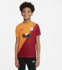 Nike Kids Galatasaray Thuis Voetbaltop met korte mouwen voor kids Oranje online kopen