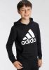 Adidas Essentials Big Logo Sweater Met Capuchon Jongens online kopen