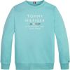 Tommy Hilfiger ! Jongens Sweater -- Turquoise Katoen/polyester online kopen