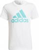Adidas T shirt Essentials Big Logo Wit/Turquoise Kinderen online kopen