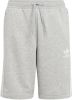 Adidas Originals Adicolor Short Medium Grey Heather/White online kopen